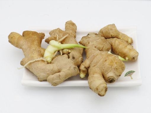 صورة زنجبيل فليين 