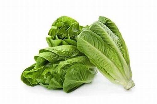 صورة خس طويل اردني صندوق كبير 